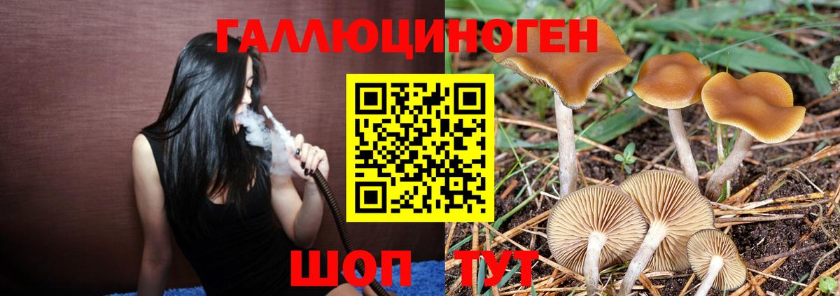 Псилоцибиновые грибы ЛСД Воткинск